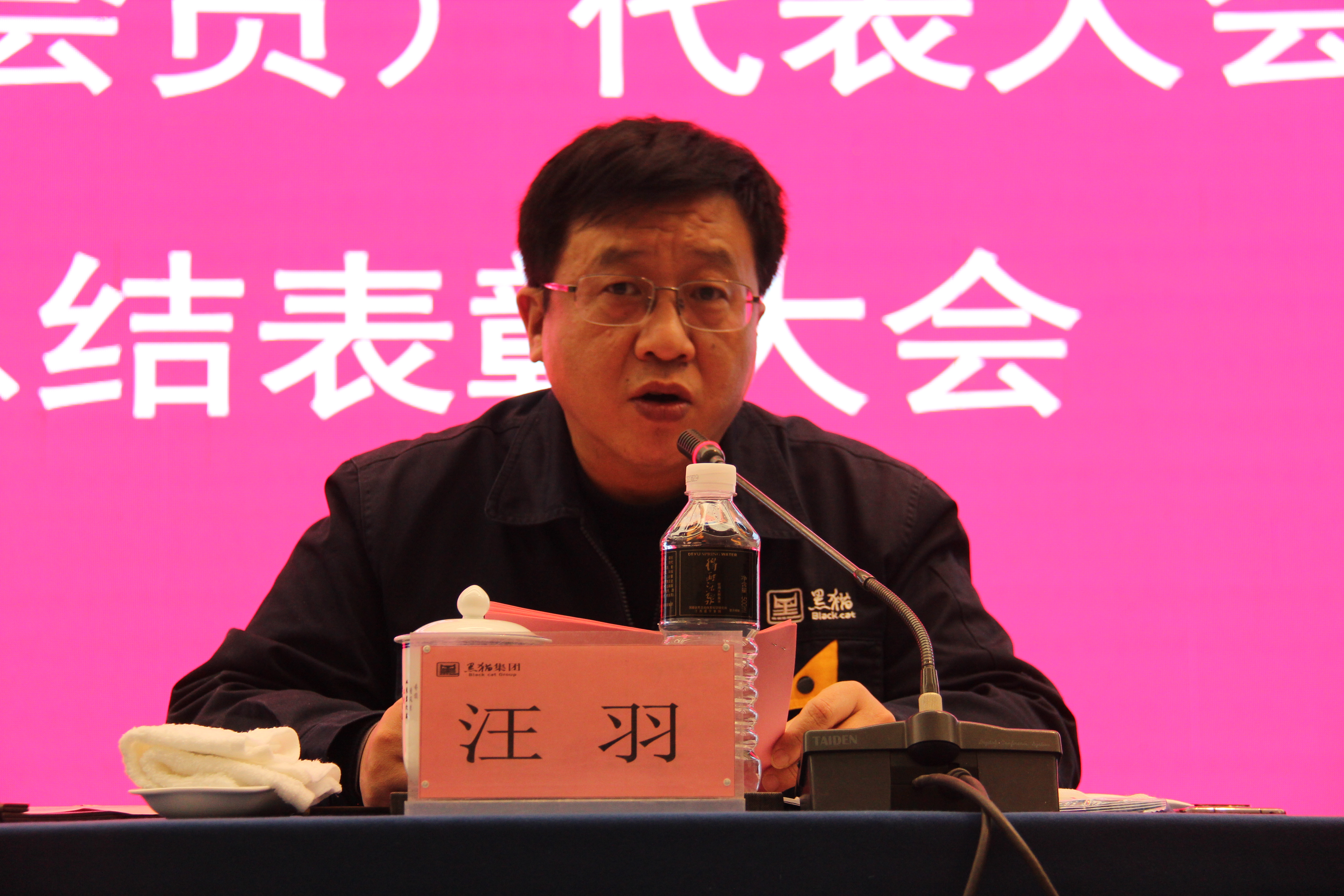 黑貓集團黨委副書記、總經(jīng)理汪羽發(fā)言 (2).JPG
